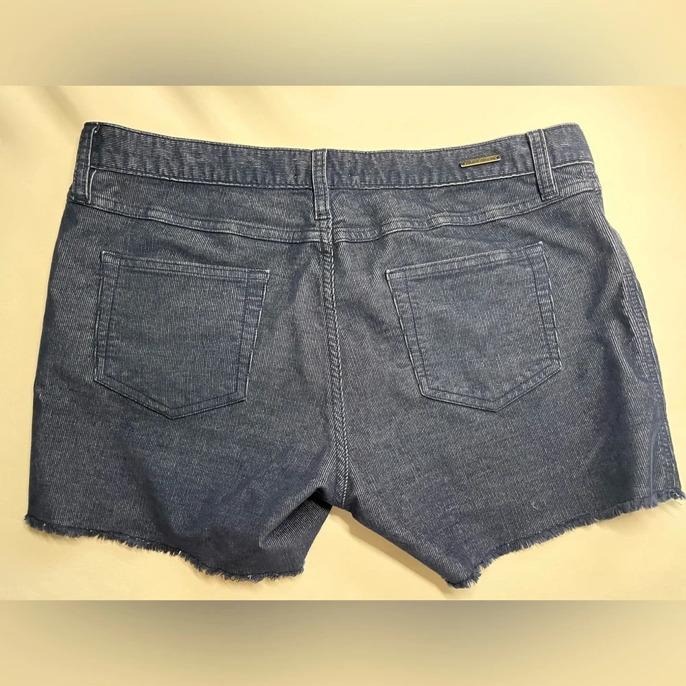 Carve Designs oahu 4” corduroy shorts size 10
Dark blue - Picture 2 of 4